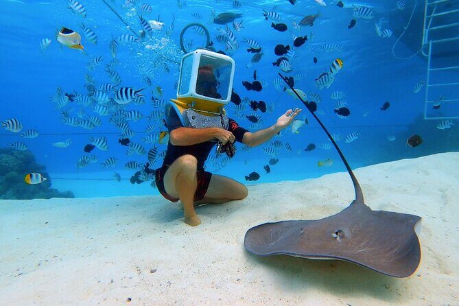 Private Tour: Aqua Safari Scuba Diving - What to Expect from the Bora Bora Aqua Safari Helmet Dive