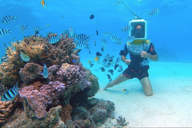 Private Tour: Aqua Safari Scuba Diving - The Sum Up