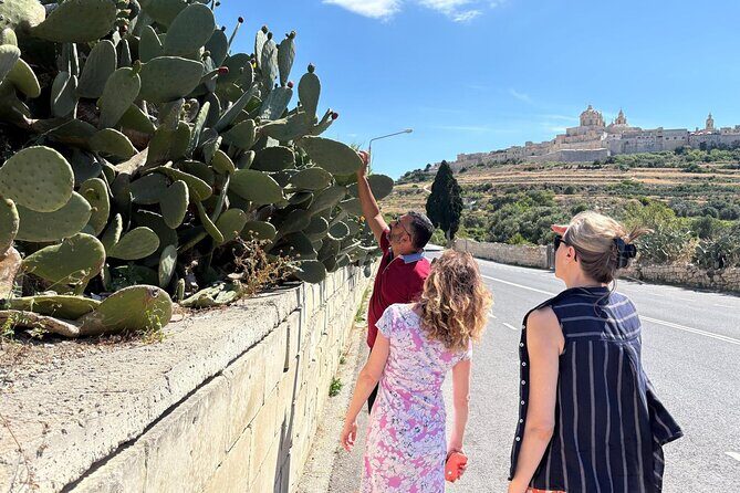 Private Tour Around Malta - Frequently Asked Questions