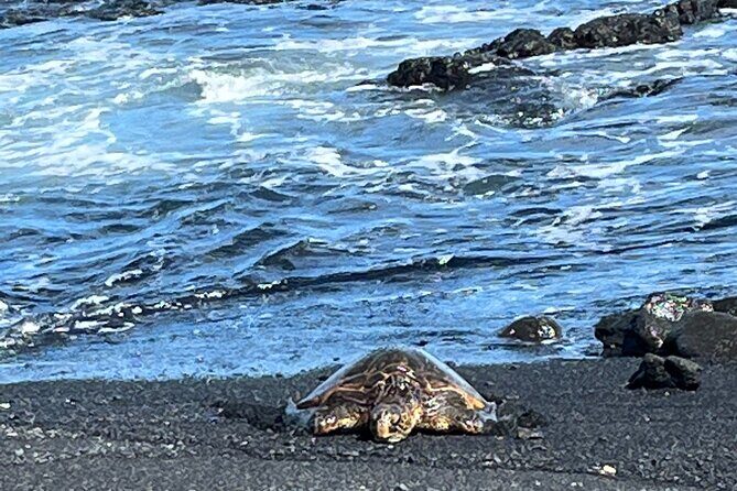 Private Tour Around the Island of Hawaii - Who Is This Tour Best For?