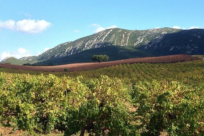 Private Tour: Arrábida Day Trip from Lisbon Including Wine Tasting - Real Travelers’ Experiences and Insights
