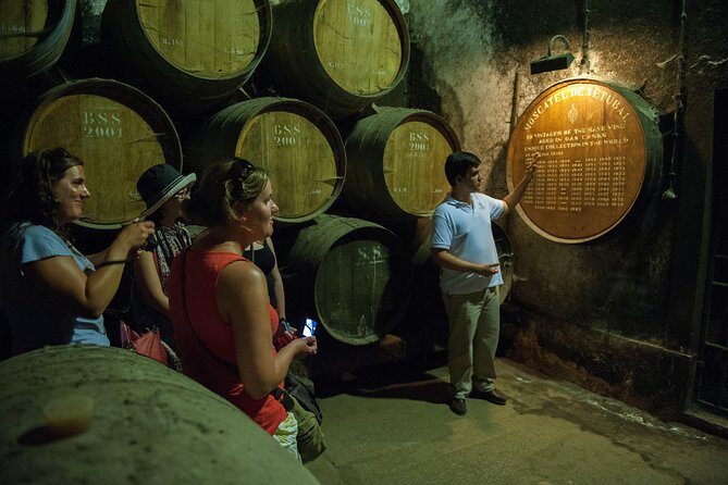 Private Tour: Arrábida Day Trip from Lisbon Including Wine Tasting - Practical Tips for Making the Most of the Tour