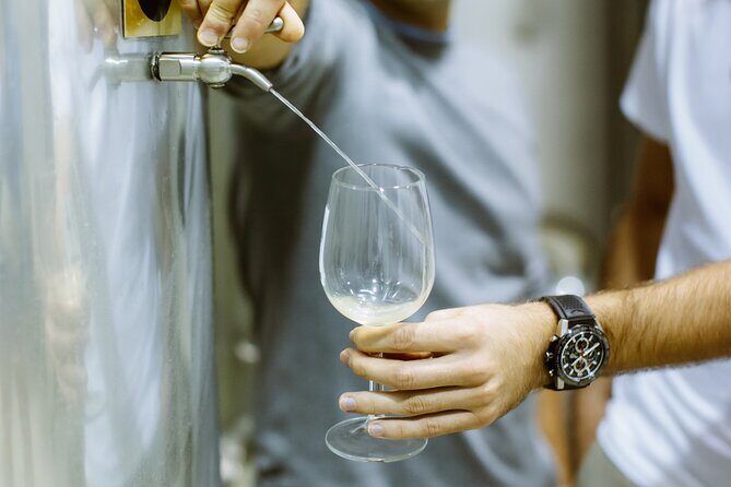 Private Tour at a Family Winery and Basque Coast Route - Exploring the Itinerary in Detail