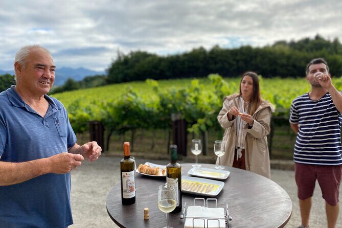 Private Tour at a Family Winery and Basque Coast Route - Practical Details and Considerations