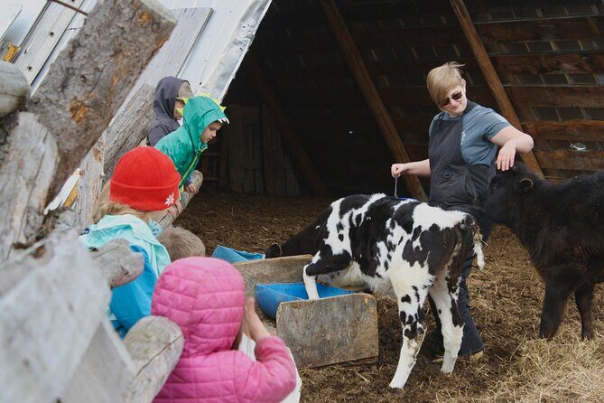 Private Tour at Historic Alaska Dairy Farm - Is It Worth the Price?