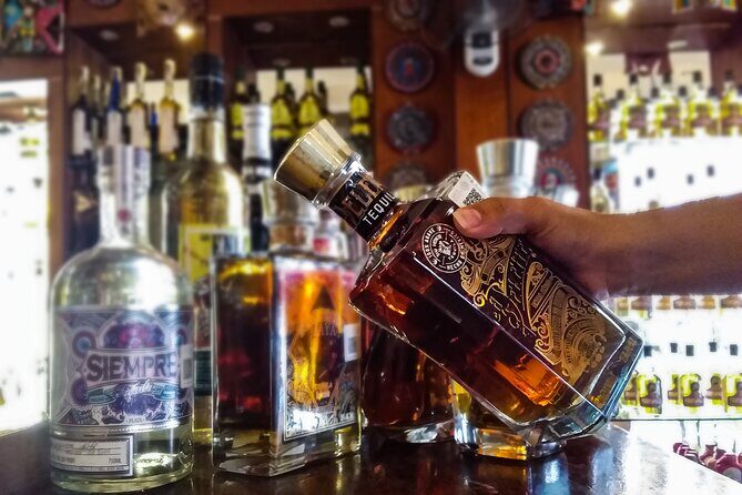 Private Tour at Puerto Morelos & Cenote from Cancun with Tequila - An In-Depth Look at the Tour Experience