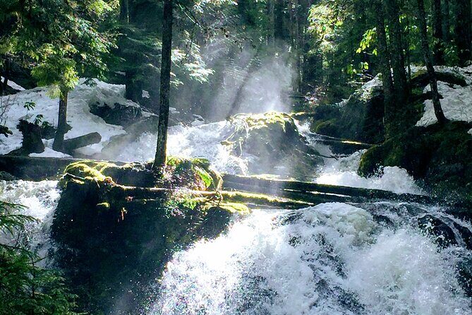 Private Tour at The Hood-Columbia Loop: Timberline, Orchards, and Waterfalls - Key Points