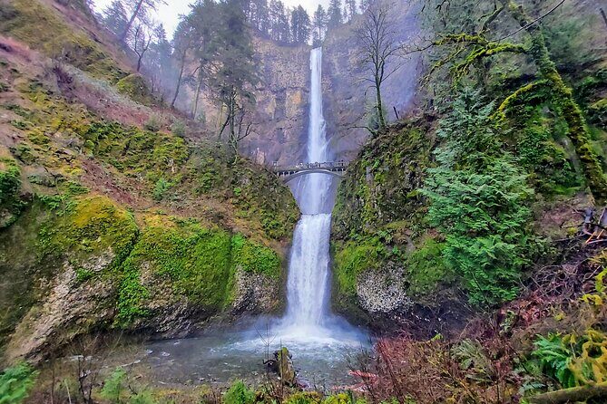 Private Tour at The Hood-Columbia Loop: Timberline, Orchards, and Waterfalls - A Complete Look at the Hood-Columbia Loop Private Tour