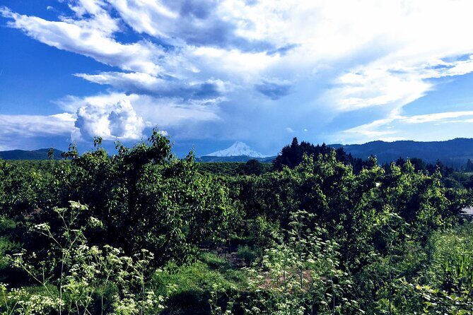 Private Tour at The Hood-Columbia Loop: Timberline, Orchards, and Waterfalls - Who Is This Tour Best For?