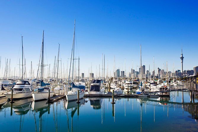 Private Tour: Auckland City and Countryside Tour - Value for Money