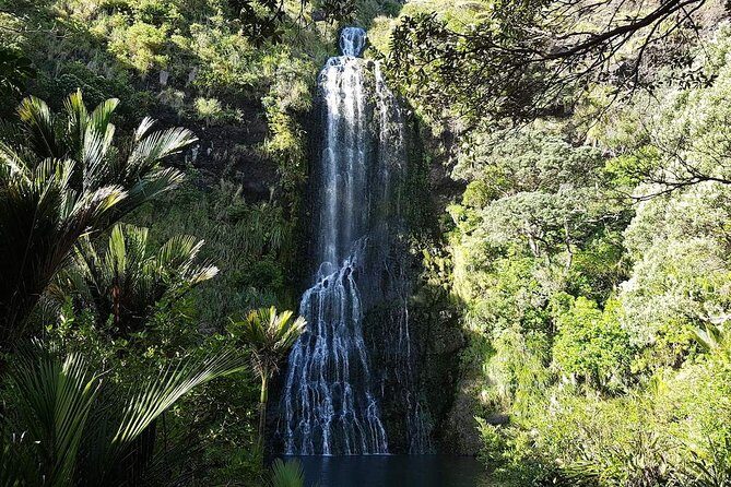 Private Tour: Auckland City and Countryside Tour - The Sum Up