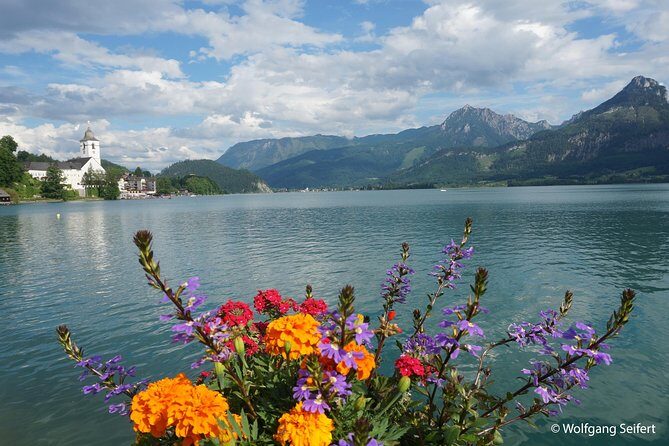 Private Tour: Austrian Lakes and Mountains Tour from Salzburg - What Travelers Are Saying: Authentic Perspectives