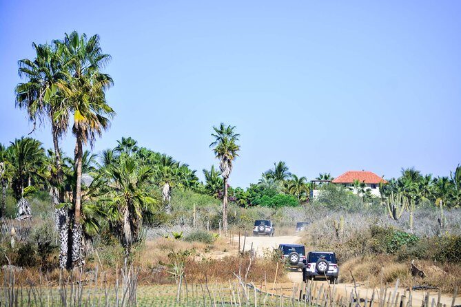 Private Tour Baja Jeep 4x4 Adventure at Los Cabos - FAQs