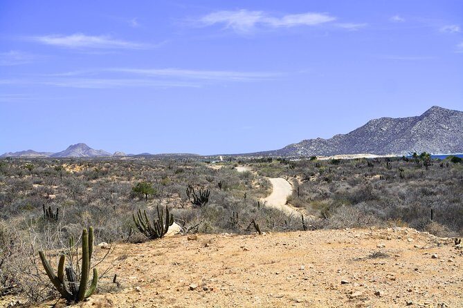 Private Tour Baja Jeep 4x4 Adventure at Los Cabos - Who Should Book This Tour?