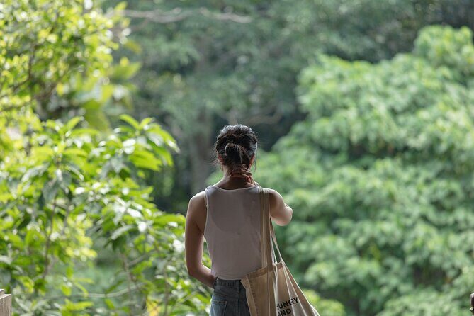 Private Tour : Bali Best Waterfalls, Temples and Monkey Forest - FAQs