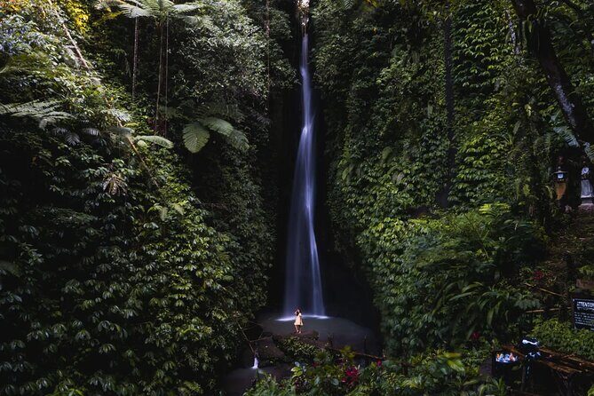 Private Tour: Bali Temples, Hidden Waterfall and Handara Gate - FAQ