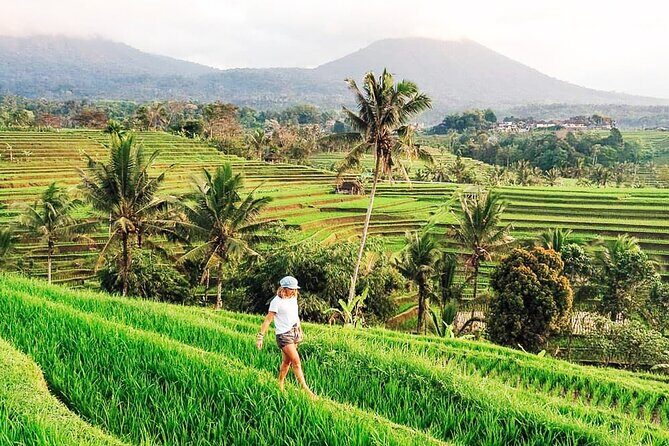 Private Tour: Bali UNESCO World Heritage Sites - Final Thoughts