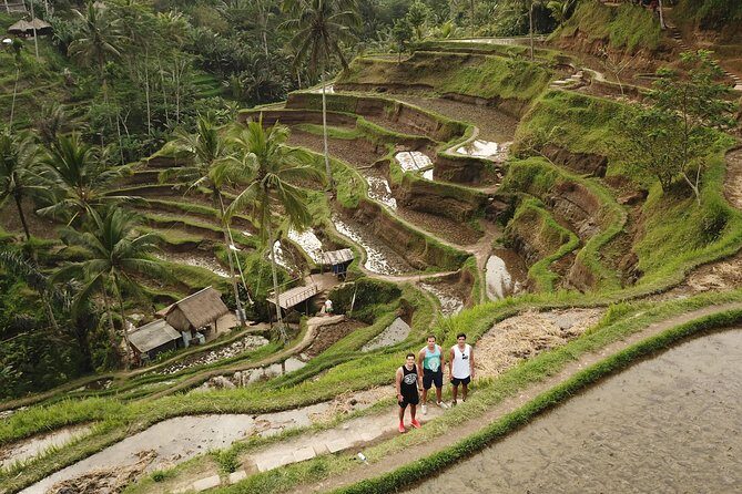 Private Tour: Bali Volcano with Jungle Swing Experience - FAQ