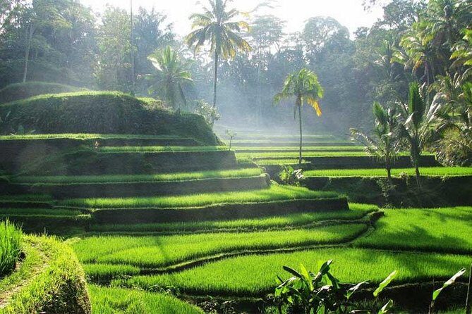 Private Tour: Batuan Temple, Tegenungan Waterfall, Elepahant Cave Free transport - Third Stop: Elephant Cave (Goa Gajah)