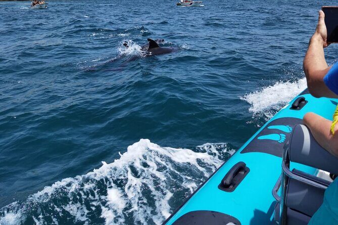 Private Tour Benagil Caves from Portimao - Final Thoughts: Is It Worth It?