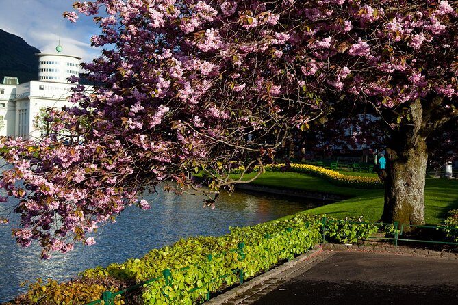 PRIVATE TOUR: Bergen city sightseeing, 5 hours - A Deep Dive into What Makes This Tour Stand Out