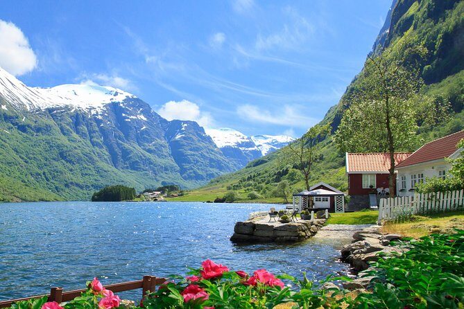Private tour, Bergen to Oslo - Nærøyfjord Cruise & Flåm Railway - What Makes This Tour Stand Out?