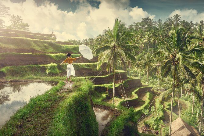 Private Tour: Best of Bali - All Inclusive Tickets - Additional Optional Stops and Flexibility