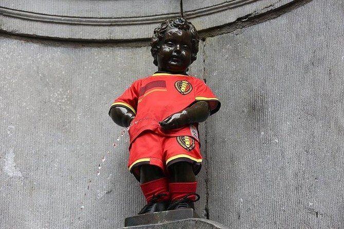 Private tour : Best of Brussels Half Day From Brussels - Who Will Love This Tour?