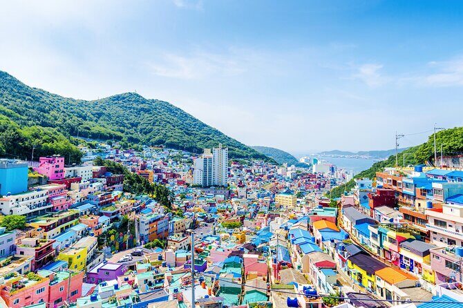 Private Tour Best of Busan Full Day - What to Expect from the Day