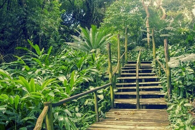 Private Tour: Best of Nadi Highlights - Introduction: Setting the Scene