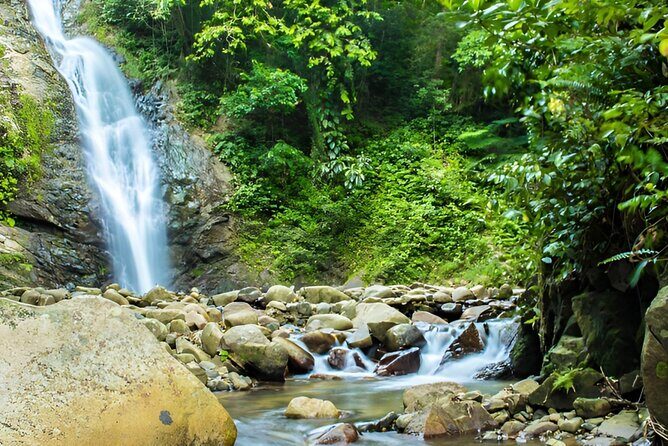 Private Tour Biausevu Waterfall and Fijian Village Experience - A Deep Dive into the Private Biausevu Waterfall and Fijian Village Experience