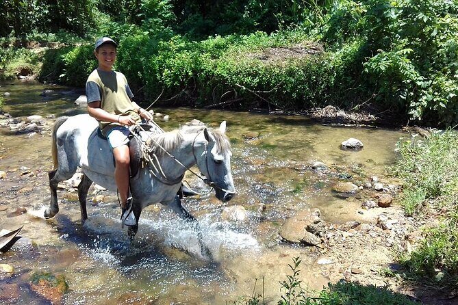 Private Tour Biausevu Waterfall and Fijian Village Experience - What We Loved and What to Consider