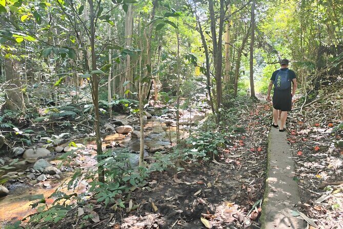 Private Tour Biausevu Waterfall and Fijian Village Experience - Who Is This Tour Best Suited For?