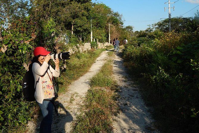 Private Tour: Birdwatching Playa del Carmen - Who Will Love This Tour?