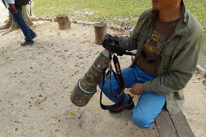 Private Tour: Birdwatching Playa del Carmen - The Sum Up