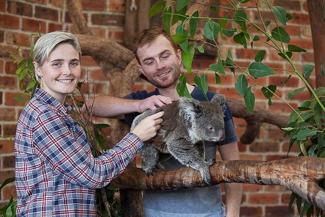 Private Tour: Blue Mountains Day Trip from Sydney - What the Experience Means for Travelers