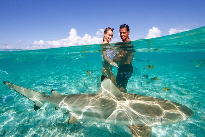 Private Tour: Bora Bora Lagoon Eco Snorkel Cruise - 3hrs or 6hrs - The Private Lunch on a Secluded Motu