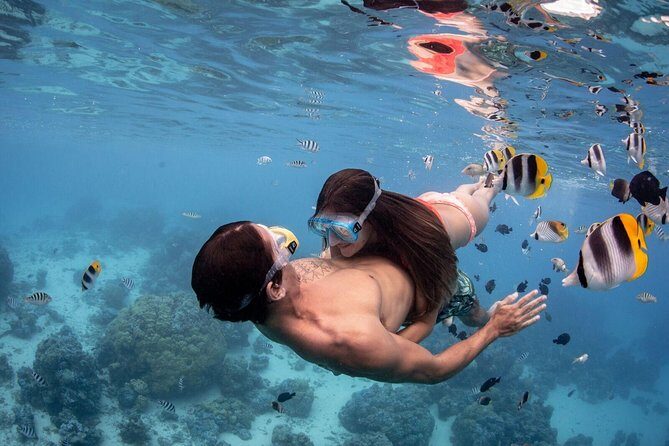 Private Tour: Bora Bora Lagoon Eco Snorkel Cruise - 3hrs or 6hrs - Authentic Experiences and Customer Praise