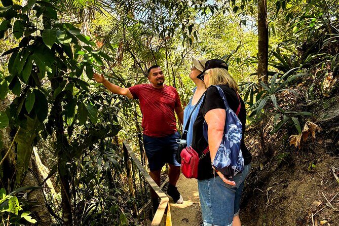 Private Tour: Botanical Garden, Petroglyphs & Mexican Food - Final Thoughts: Is This Tour Right for You?