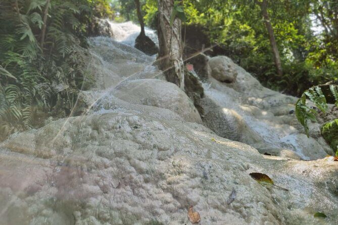 Private Tour: Bua Thong Sticky Waterfalls Tour - FAQ