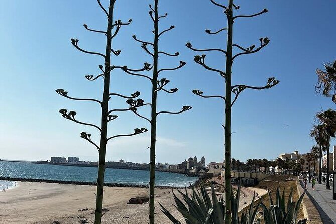 Private tour Cadiz: the city of light - Discover Cádiz with a Private Guide: What to Expect