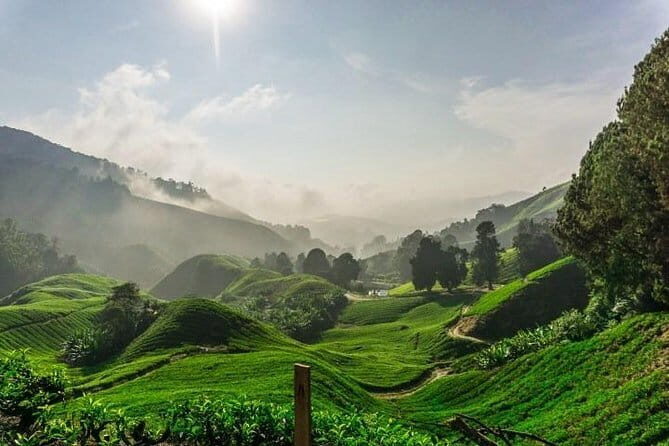 Private Tour : Cameron Highland Day Trip from Kuala Lumpur - Starting the Day: Early Pickup and Journey