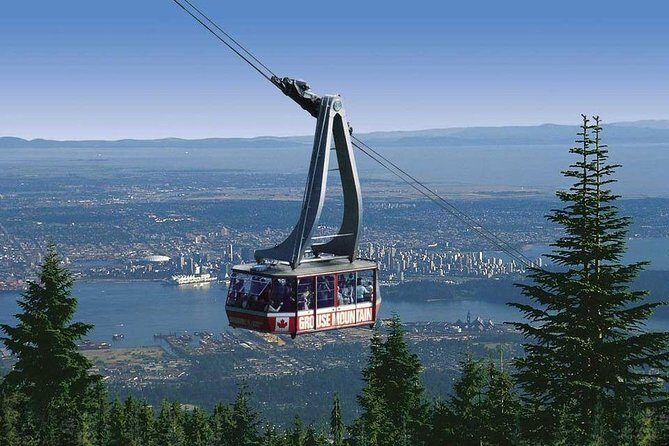 Private Tour: Capilano Suspension Bridge and Grouse Mountain - Price and Value