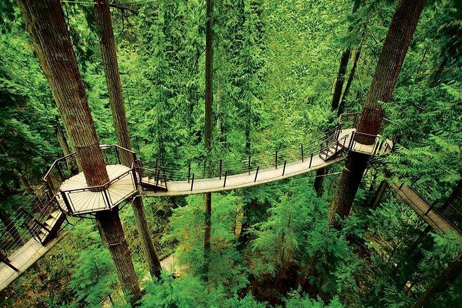 Private Tour: Capilano Suspension Bridge and Grouse Mountain - FAQ