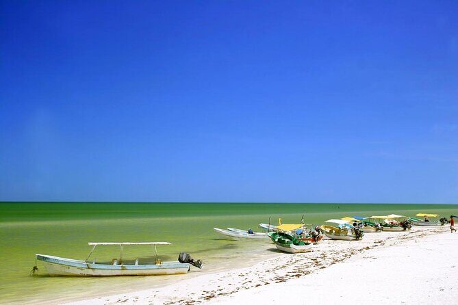 Private Tour: Celestun Biosphere Reserve by Yucatan Concierge - An In-Depth Look at the Celestun Biosphere Reserve Tour