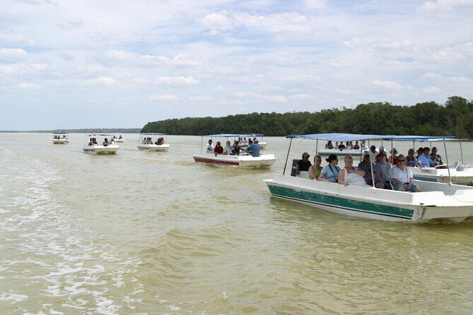 Private Tour: Celestun Biosphere Reserve by Yucatan Concierge - What Makes This Tour Stand Out?