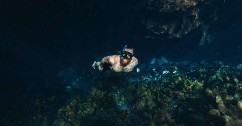 Private Tour cenotes of Mucuyche & Santa Barbara in one day - An Overview of the Experience