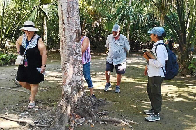 PRIVATE TOUR Chacchoben Mayan Ruins from Costa Maya - FAQ