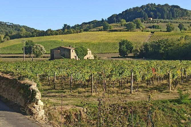 PRIVATE TOUR: Chianti Afternoon tour with visit to 2 wine farms - Key Points
