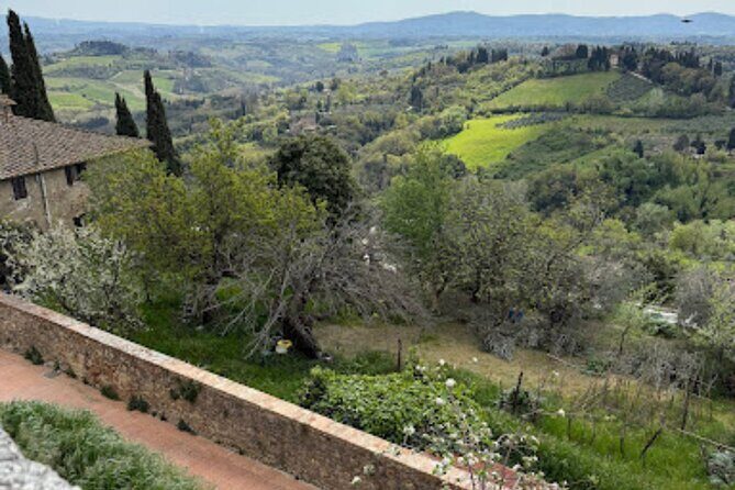 Private Tour- Chianti By Minivan At Sunset - The Itinerary in Detail